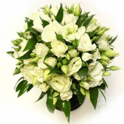 Салон цветов и подарков Глориоза