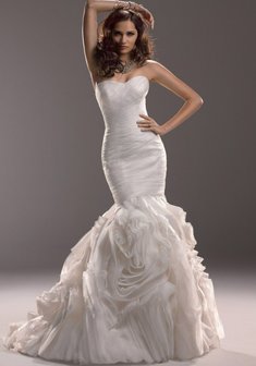 Арт. Primrose-B39047