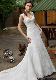 Арт. Rumba-B39079