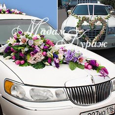 Украшения для автомобилей М24769